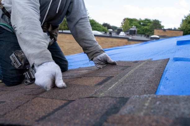 Best Flat Roof Repair Services  in Five Points, FL